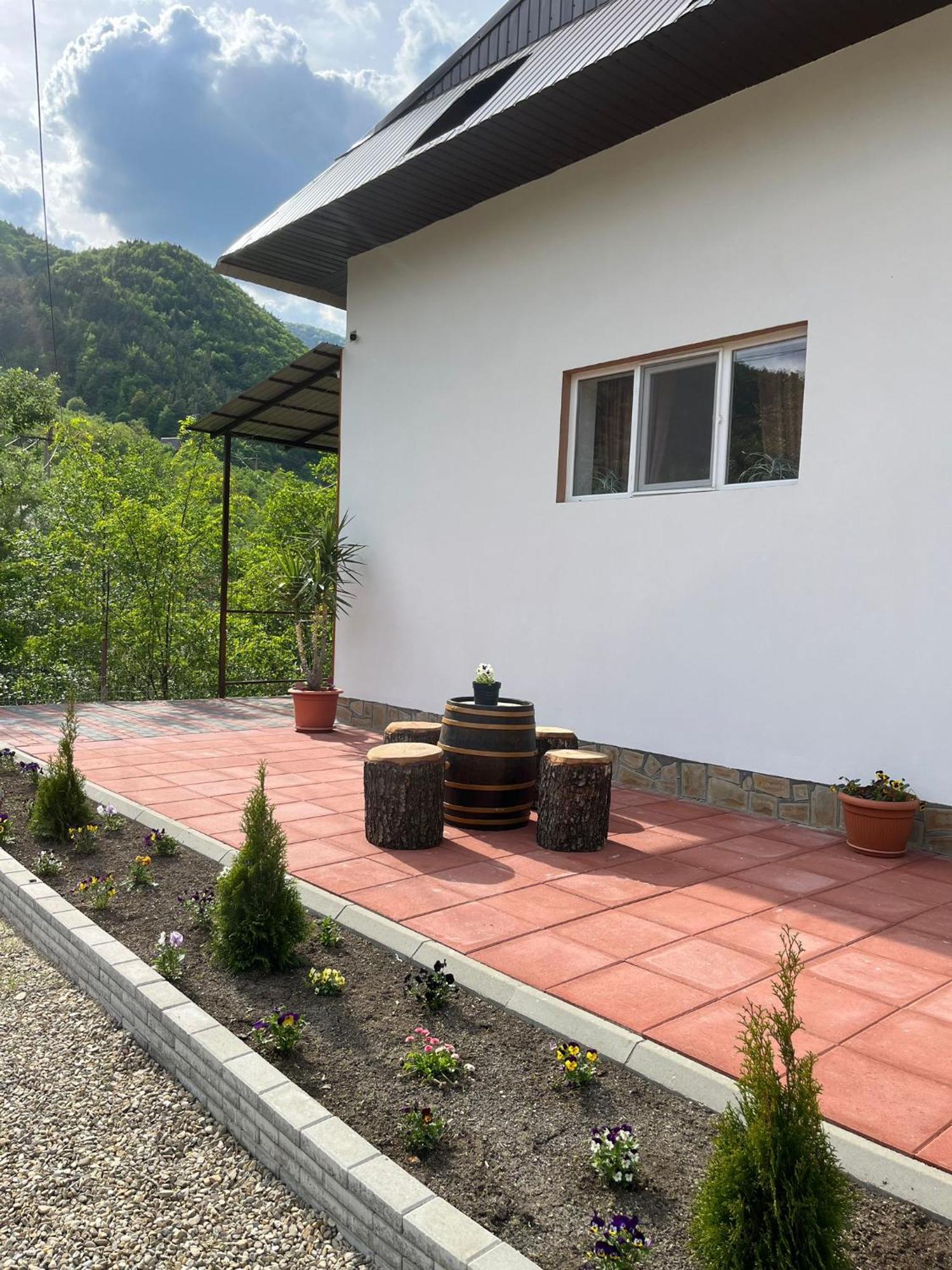 Casa Vio Casa de hóspedes Nehoiu Exterior foto
